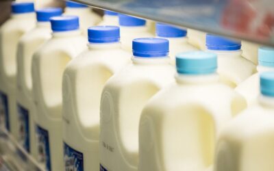 “Big Data” and Dairy