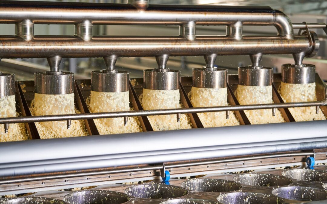 How to Avoid Contamination and Product Recall at Your Cheese Plant