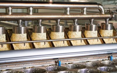 How to Avoid Contamination and Product Recall at Your Cheese Plant