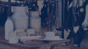 Webinar: Smarter and more sustainable plants via data