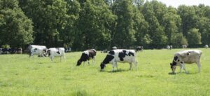 Targeting Emission Reduction Goals in Dairies 