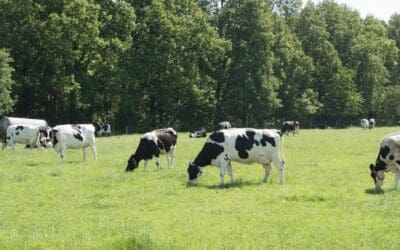 Targeting Emission Reduction Goals in Dairies 