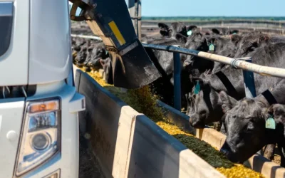 Ever.Ag’s Livestock Procurement Software is changing the game for processors and packers