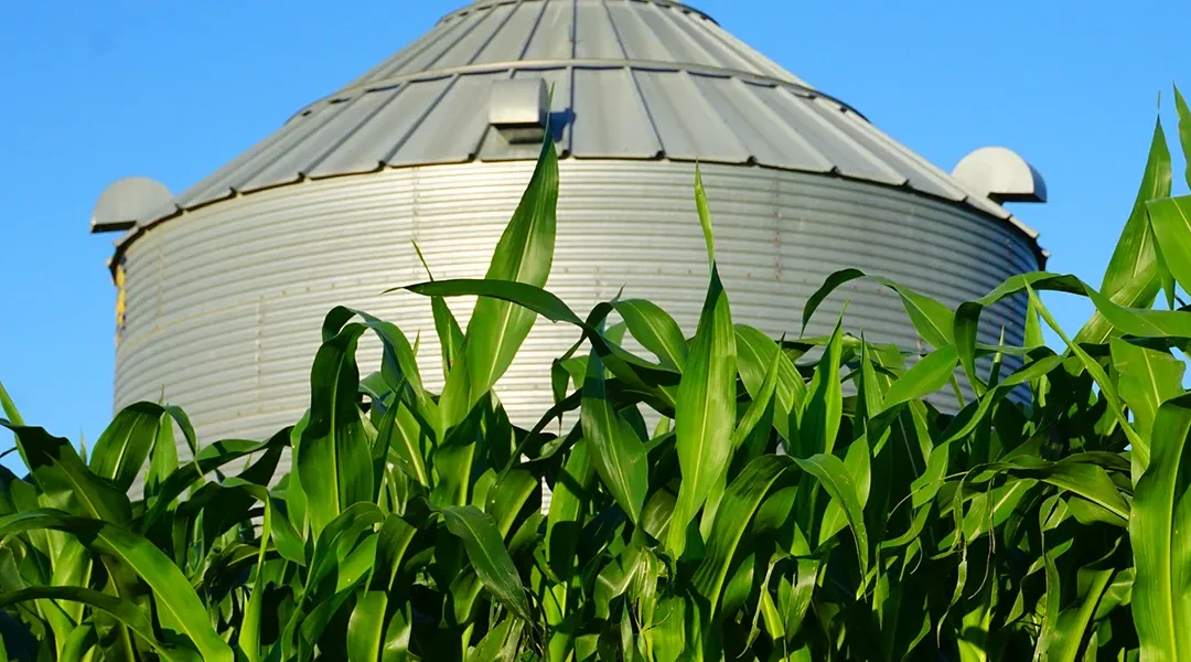 WEBINAR: Discover Enhanced Reporting with Merchant Ag Business Insights