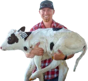 Traveor holding livestock calf