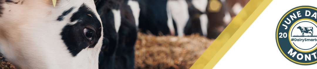 June Dairy Month 2025
