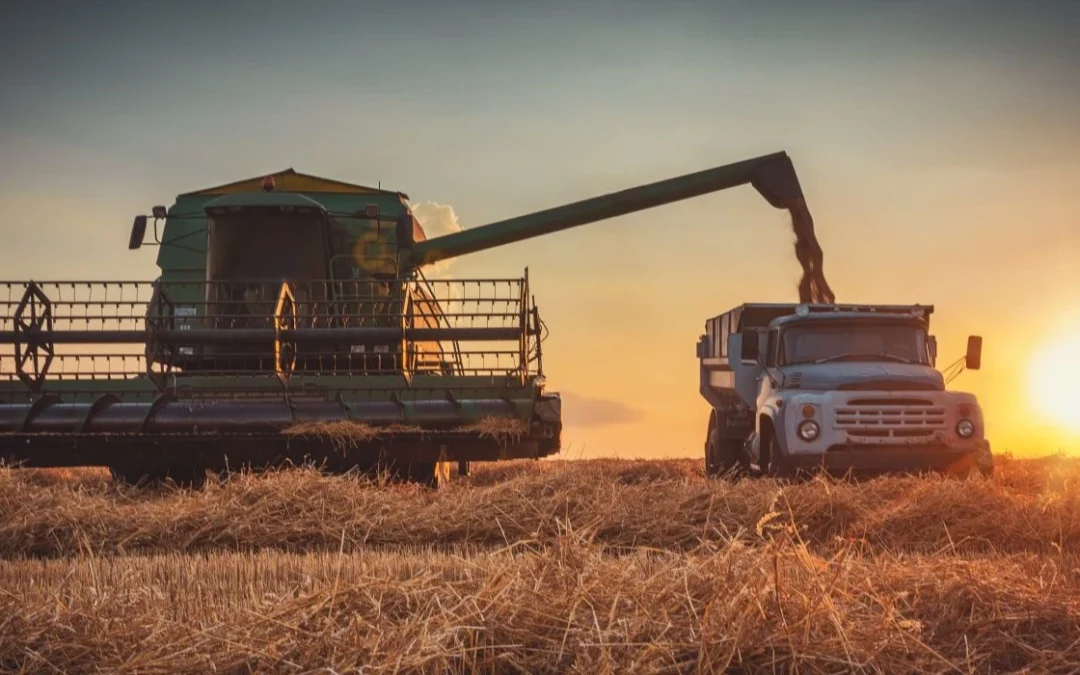 Webinar: Simplify Grain Movement with Roger and Merchant Ag