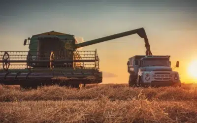 Webinar: Simplify Grain Movement with Roger and Merchant Ag