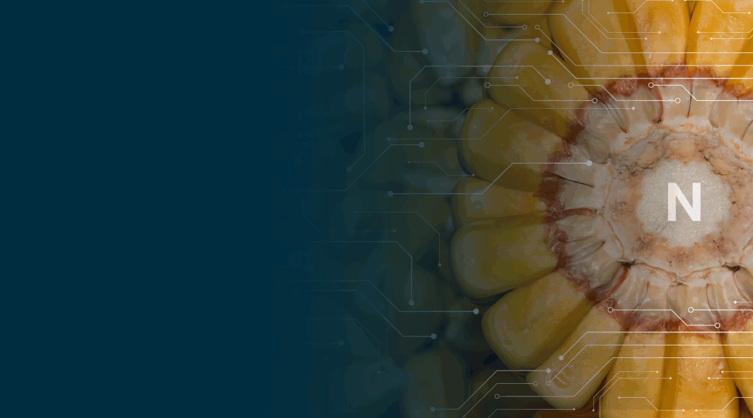 Precision Nitrogen Management: Smarter Strategies for Farm Profitability