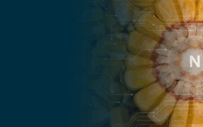 Precision Nitrogen Management: Smarter Strategies for Farm Profitability