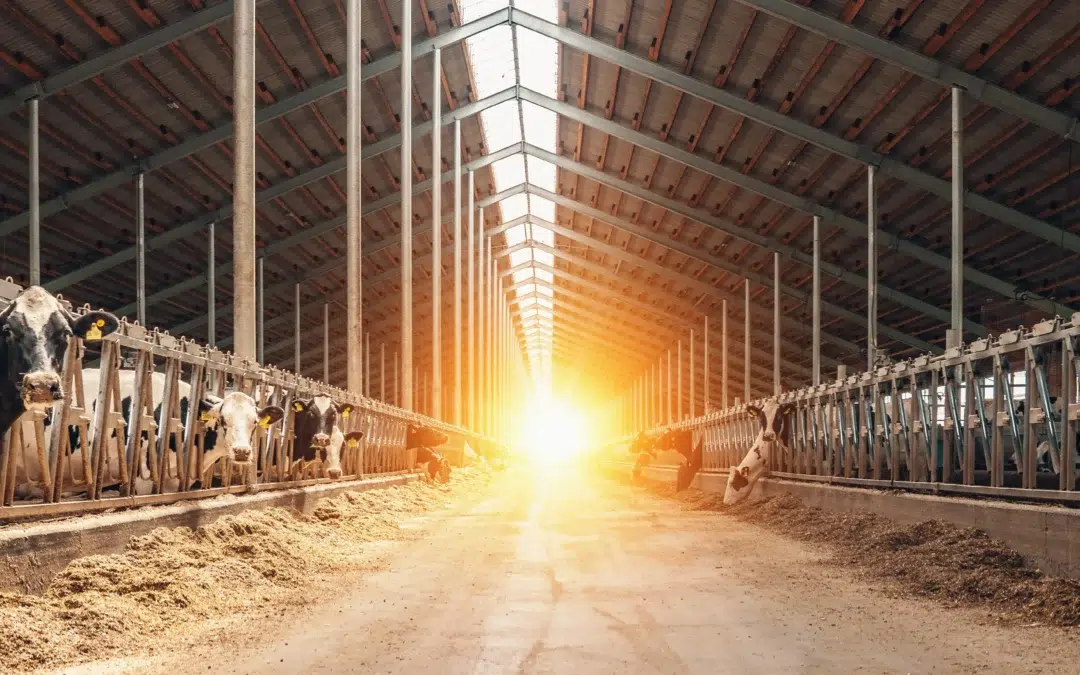 Webinar: 2026 Dairy Market Outlook: Trends, Risks, and What Comes Next