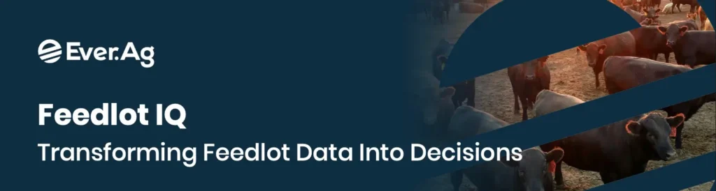 Feelot IQ image for flyer