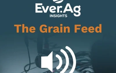 The Grain Feed: Holiday Markets, Feed Opportunities & What Comes Next