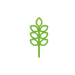 Agribusiness Icon