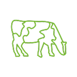 Dairy Icon