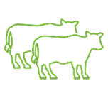 Livestock Icon
